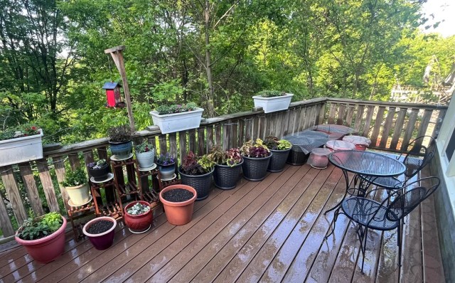 A deck with multiple plant pots and planters.
