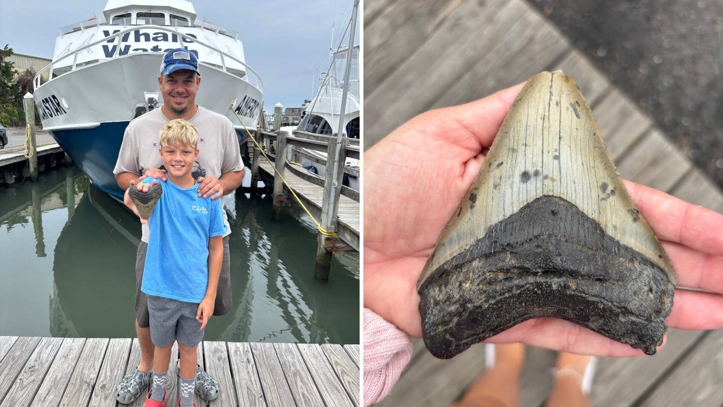A father and son with a fossilized megalodon tooth.