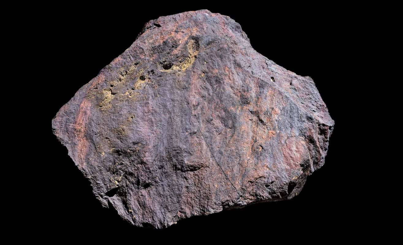An irregularly shaped meterorite with a textured surface in various shades of gray, purple, and hints of gold.