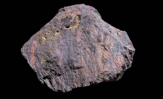 An irregularly shaped meterorite with a textured surface in various shades of gray, purple, and hints of gold.