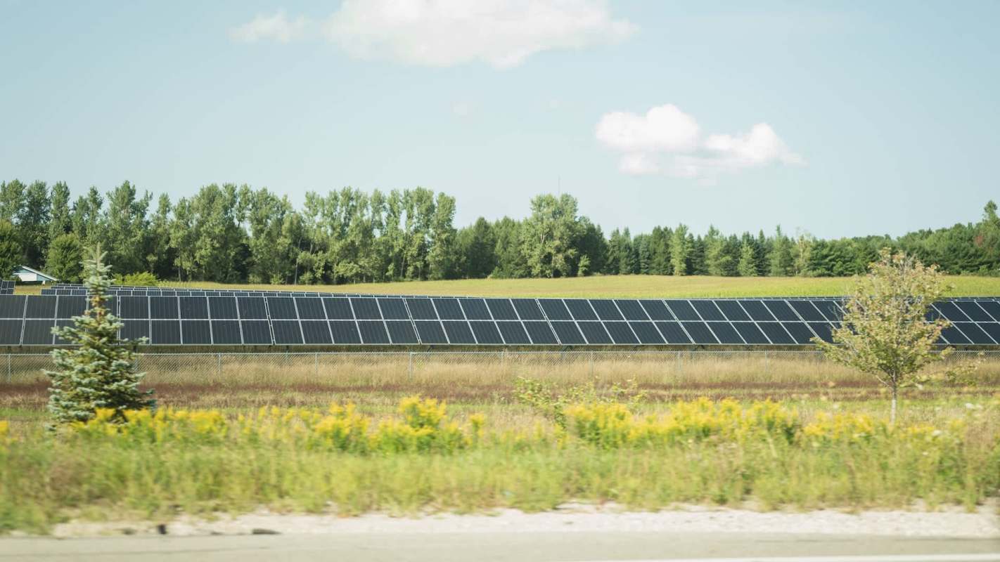 A solar farm with panels in a field surrounded by trees and grass.