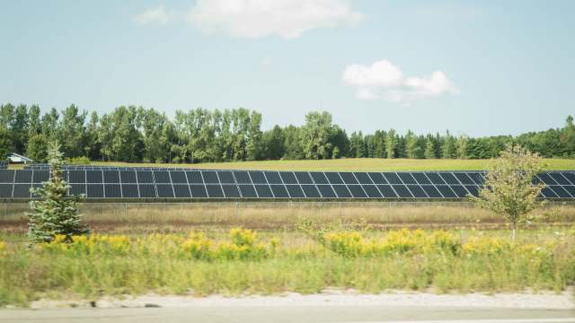 A solar farm with panels in a field surrounded by trees and grass.