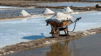 A wheelbarrow filled with salt next to salt ponds with mounds of harvested salt.