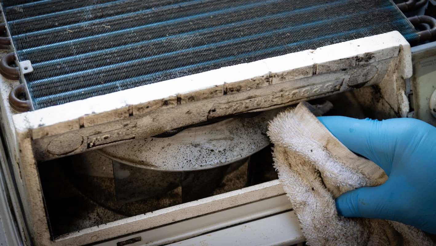 A gloved hand uses a cloth to clean mold from an appliance's filter.