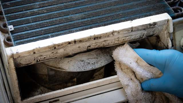 A gloved hand uses a cloth to clean mold from an appliance's filter.