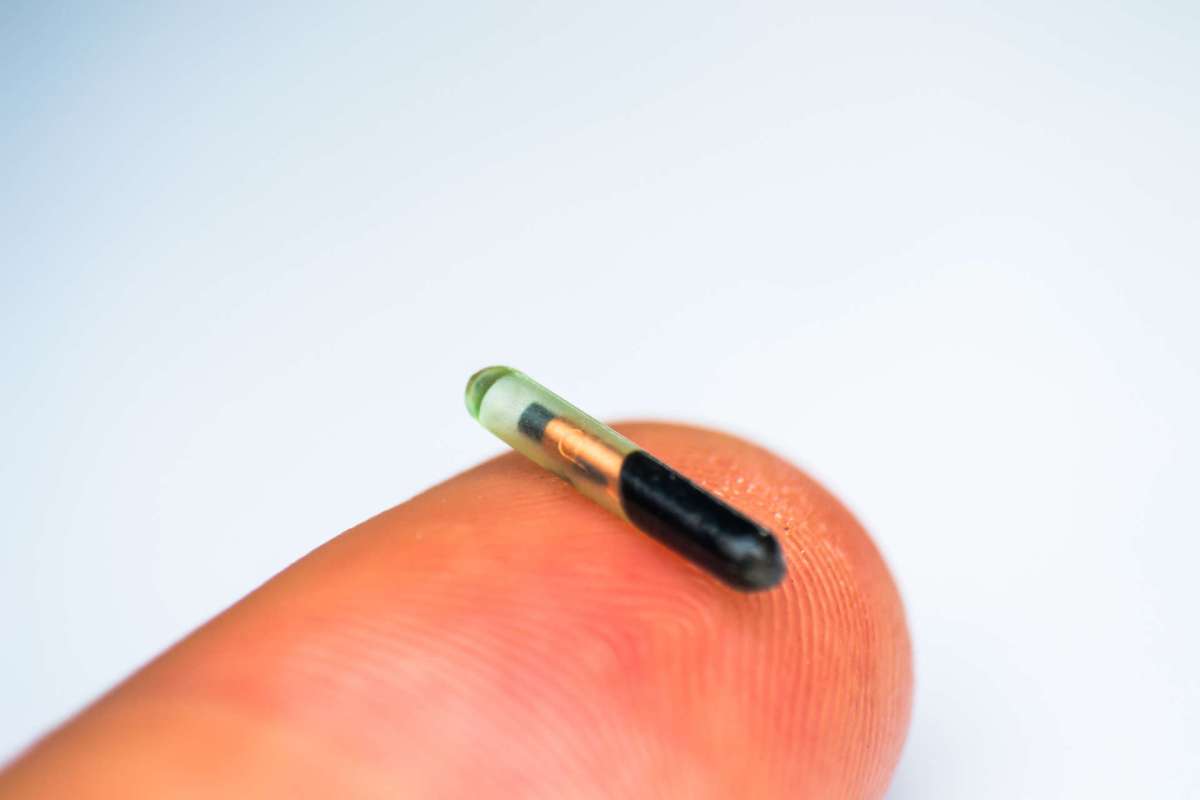 A microchip on the tip of a finger against a light background.