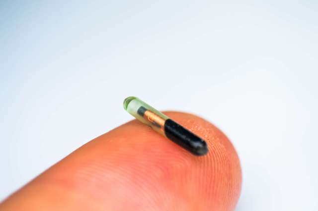 A microchip on the tip of a finger against a light background.