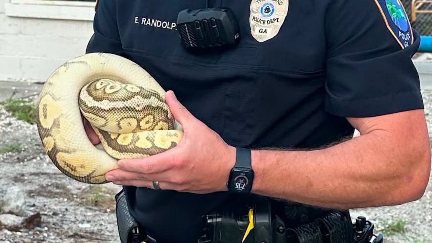 A police officer holding a snake in his hands.