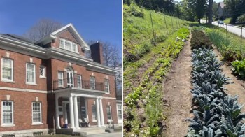 A brick house with a balcony and garden beds containing various plants alongside a road.