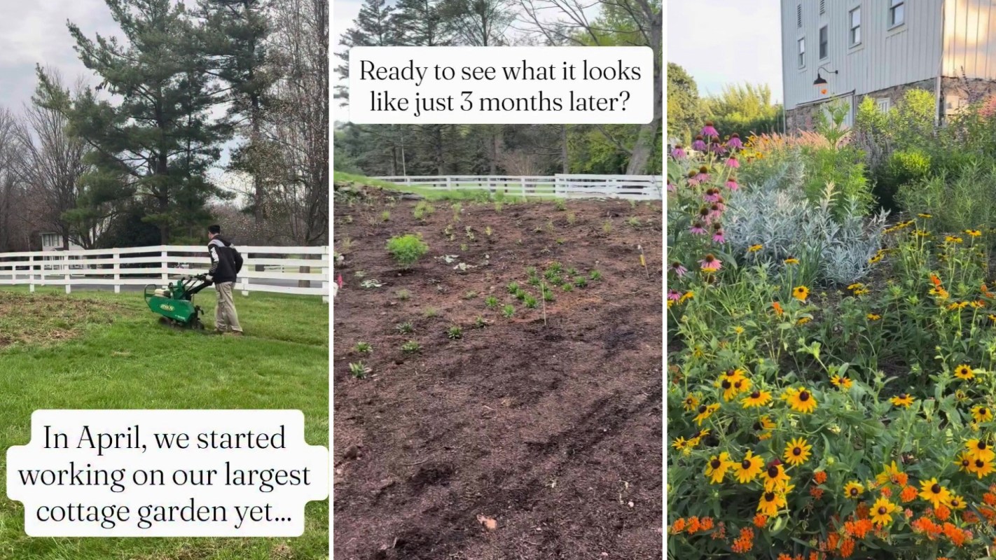 A series of three images showing gardening progress, from initial planting to a blooming garden.