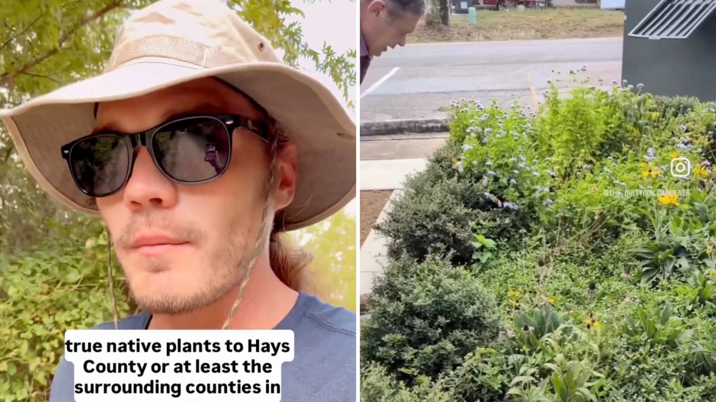 A person wearing sunglasses and a hat stands near a garden with various plants and flowers.