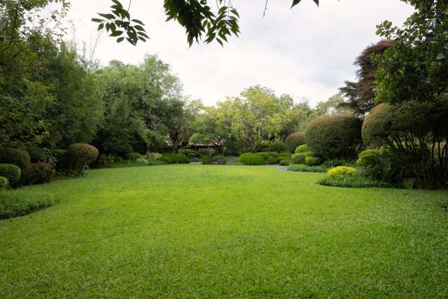 A yard.