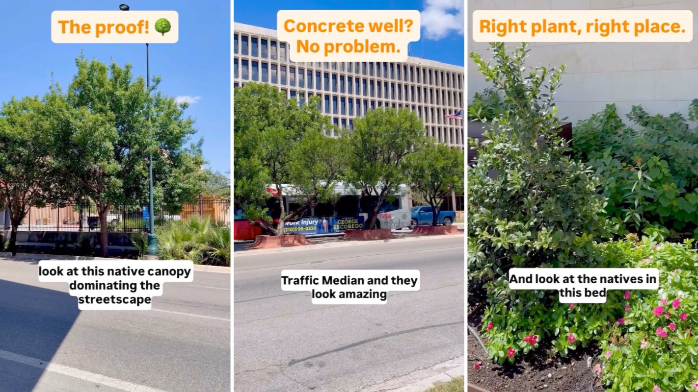 Three images showing urban landscaping with trees, a traffic median with plants, and a flower bed with native plants.