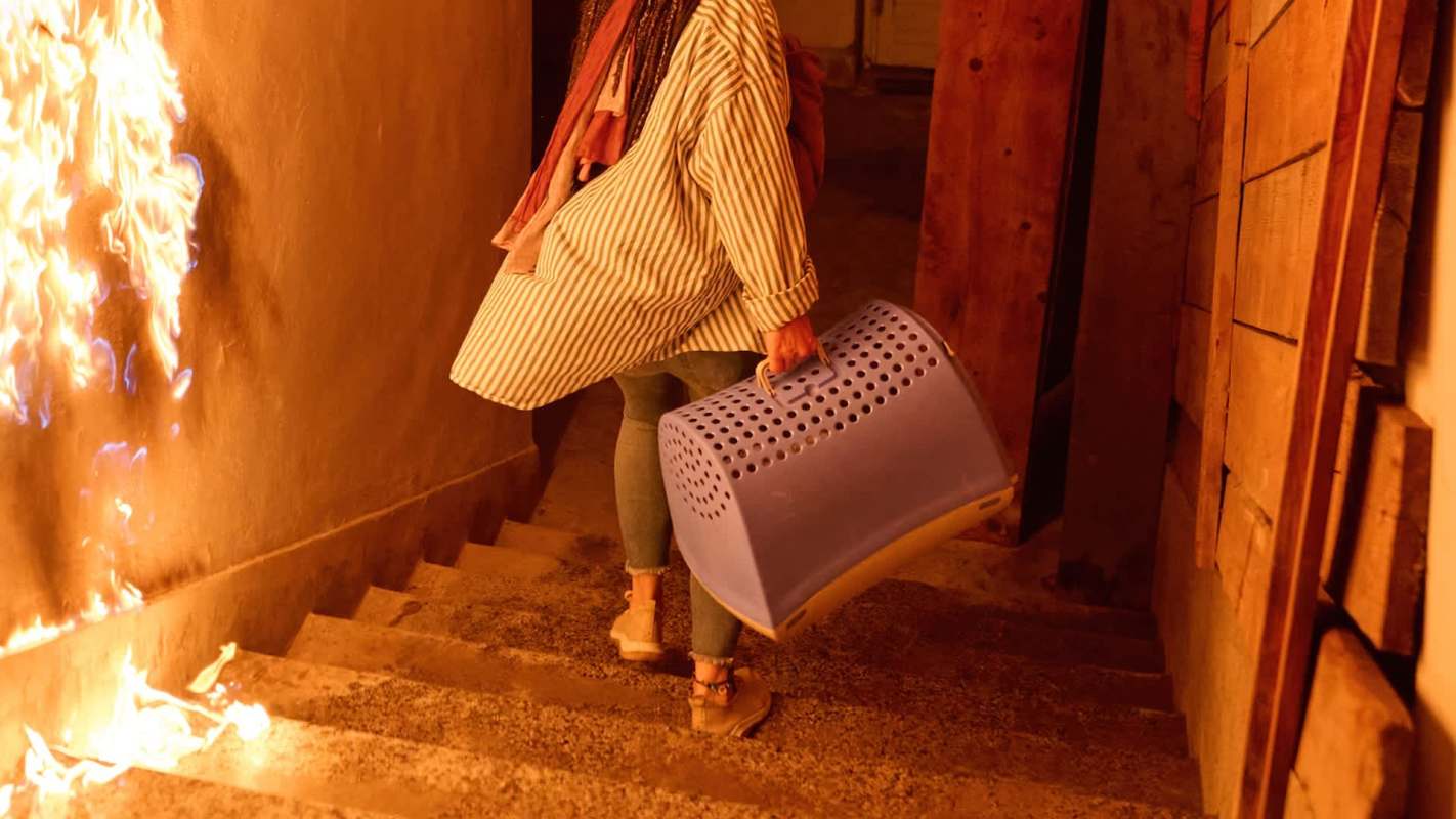 A person carrying a blue pet carrier walks down a staircase beside a wall on fire.