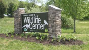 A sign for Mercer County Wildlife Center surrounded by grass and greenery.