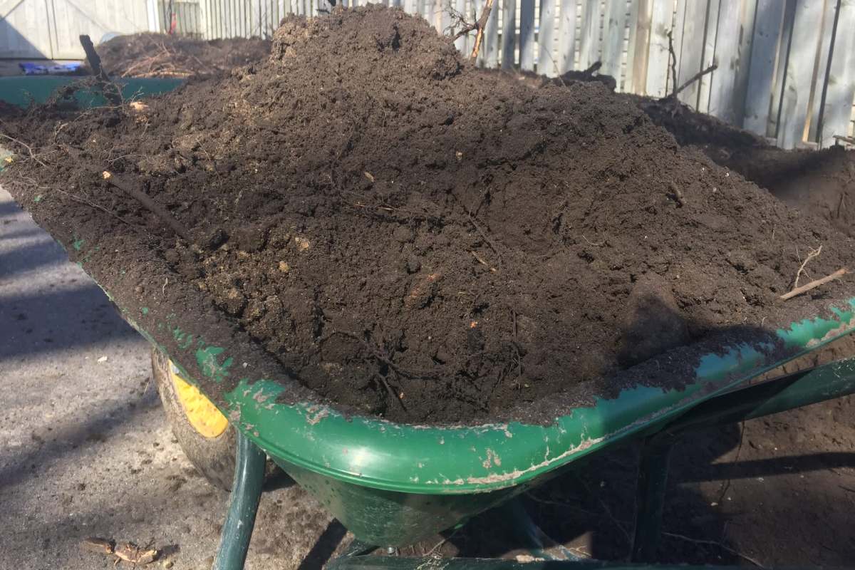 A wheelbarrow filled with dark soil and small twigs.