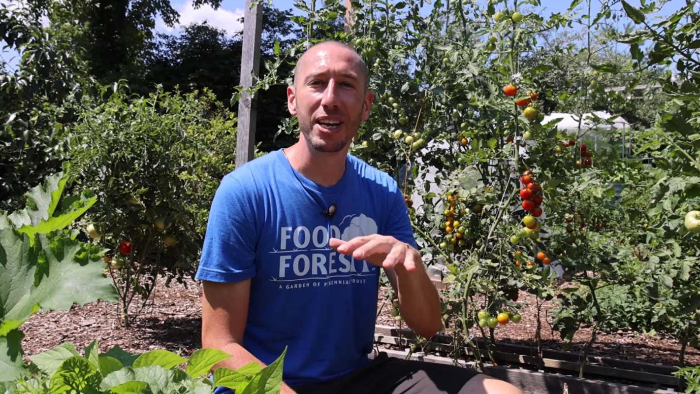 James Prigioni in a vegetable garden.