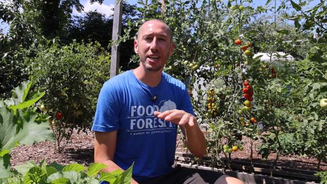 James Prigioni in a vegetable garden.