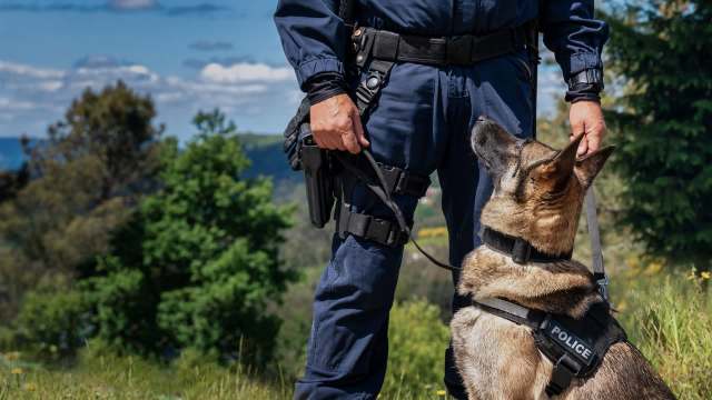 A police officer stands with a working dog in a natural outdoor setting.