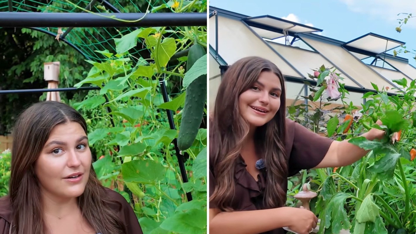A woman stands in a garden, interacting with plants and vegetables.
