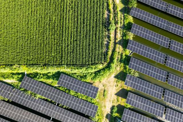 an array of solar panels sits next to a farm