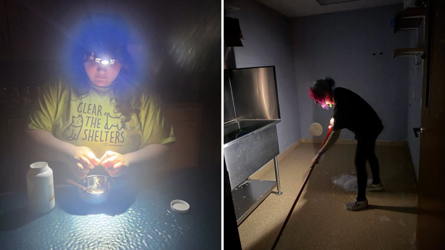 Animal shelter workers doing tasks by flashlight.