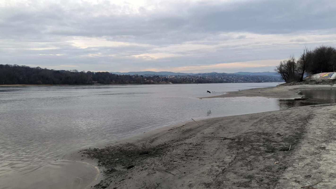 A riverbank with a sandy shore and distant trees under a cloudy sky.