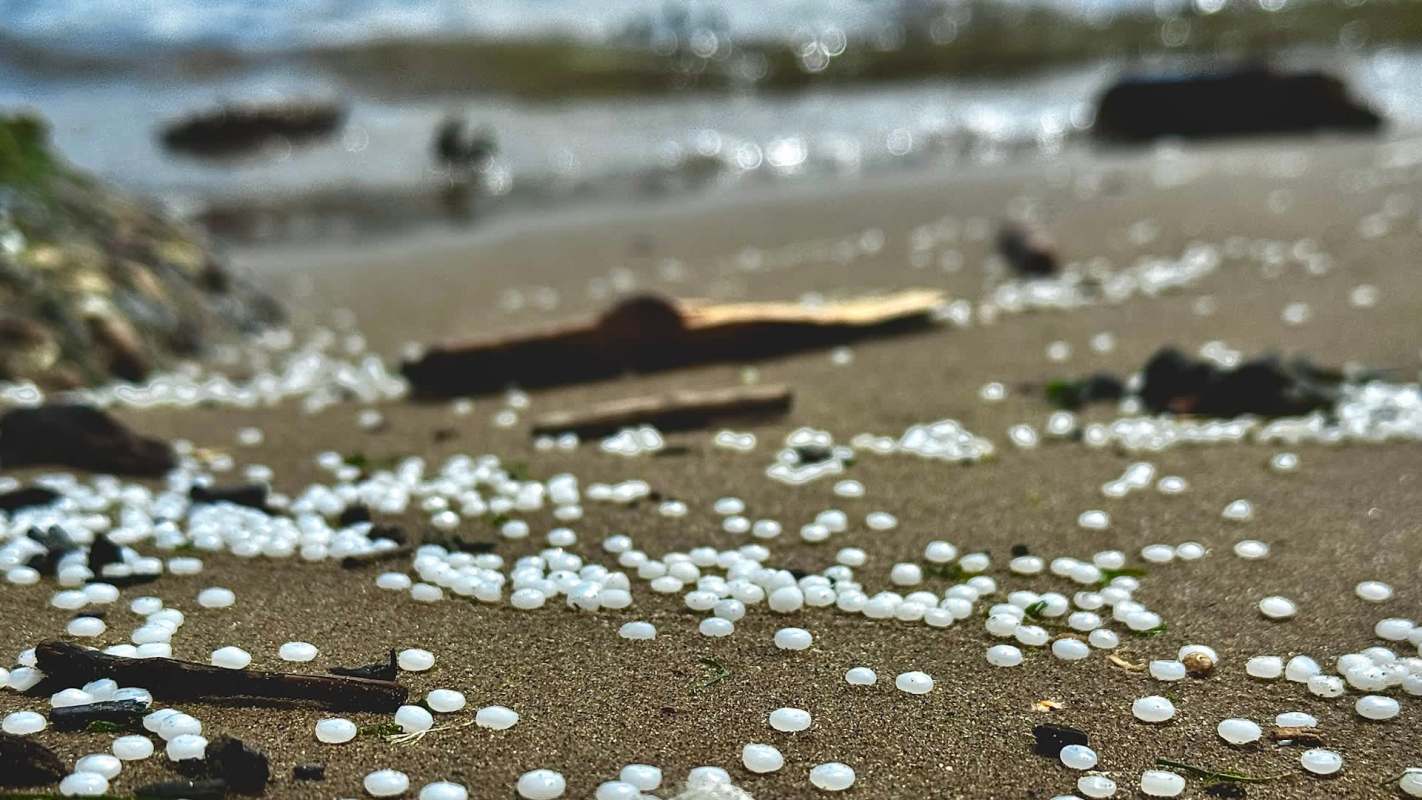 White round nurdles scattered on a sandy beach, with some driftwood and seaweed present.