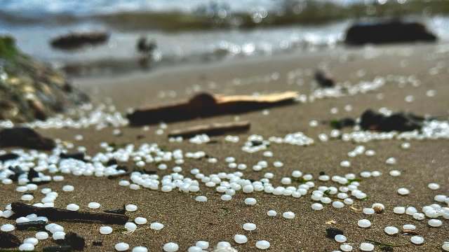 White nurdles on a beach.