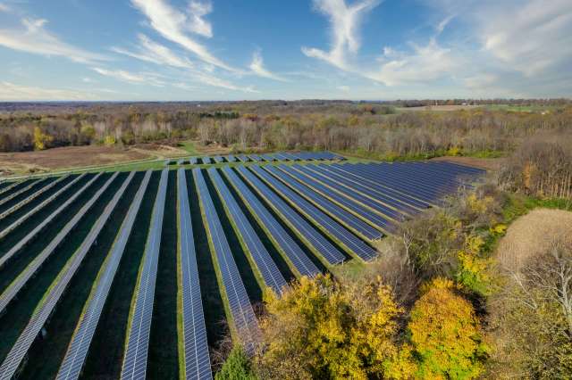 A solar panel field with rows of solar panels surrounded by trees and open land under a blue sky.