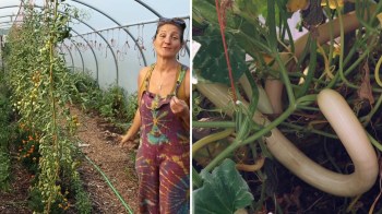 A woman stands in a greenhouse with tomato plants and squash growing nearby.