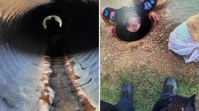 A view down a dark tunnel, then a person climbing out of the entrance and a dog nearby.