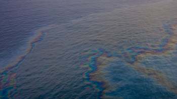An oil spill creates a rainbow sheen on the surface of the water.