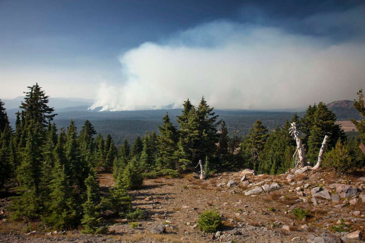 Smoke in the distance from a forest fire.