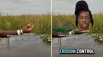 A person gestures by a body of water, with lush green vegetation and text about invasive plants and erosion control.