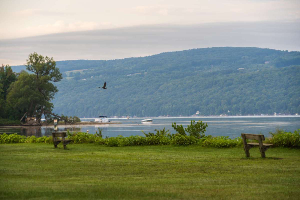 A lake surrounded by green hills with boats in the water and a bird flying overhead.