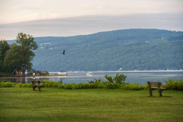 A lake surrounded by green hills with boats in the water and a bird flying overhead.