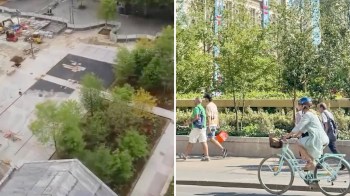 A microforest in Paris.