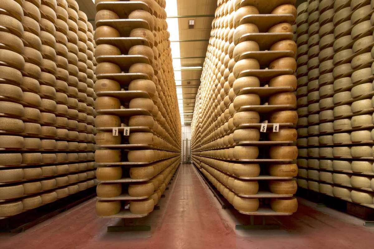 A storage facility filled with stacked cheese wheels on shelves.