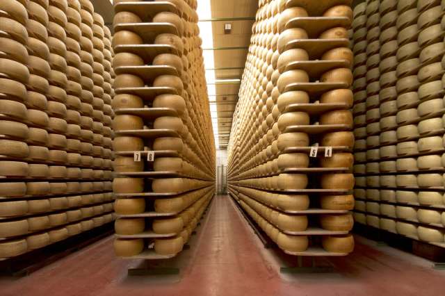 A storage facility filled with stacked cheese wheels on shelves.