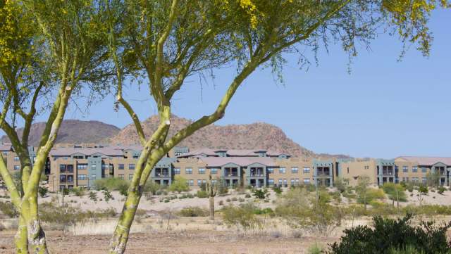 A desert landscape featuring a tree in the foreground and residential buildings with mountains in the background.