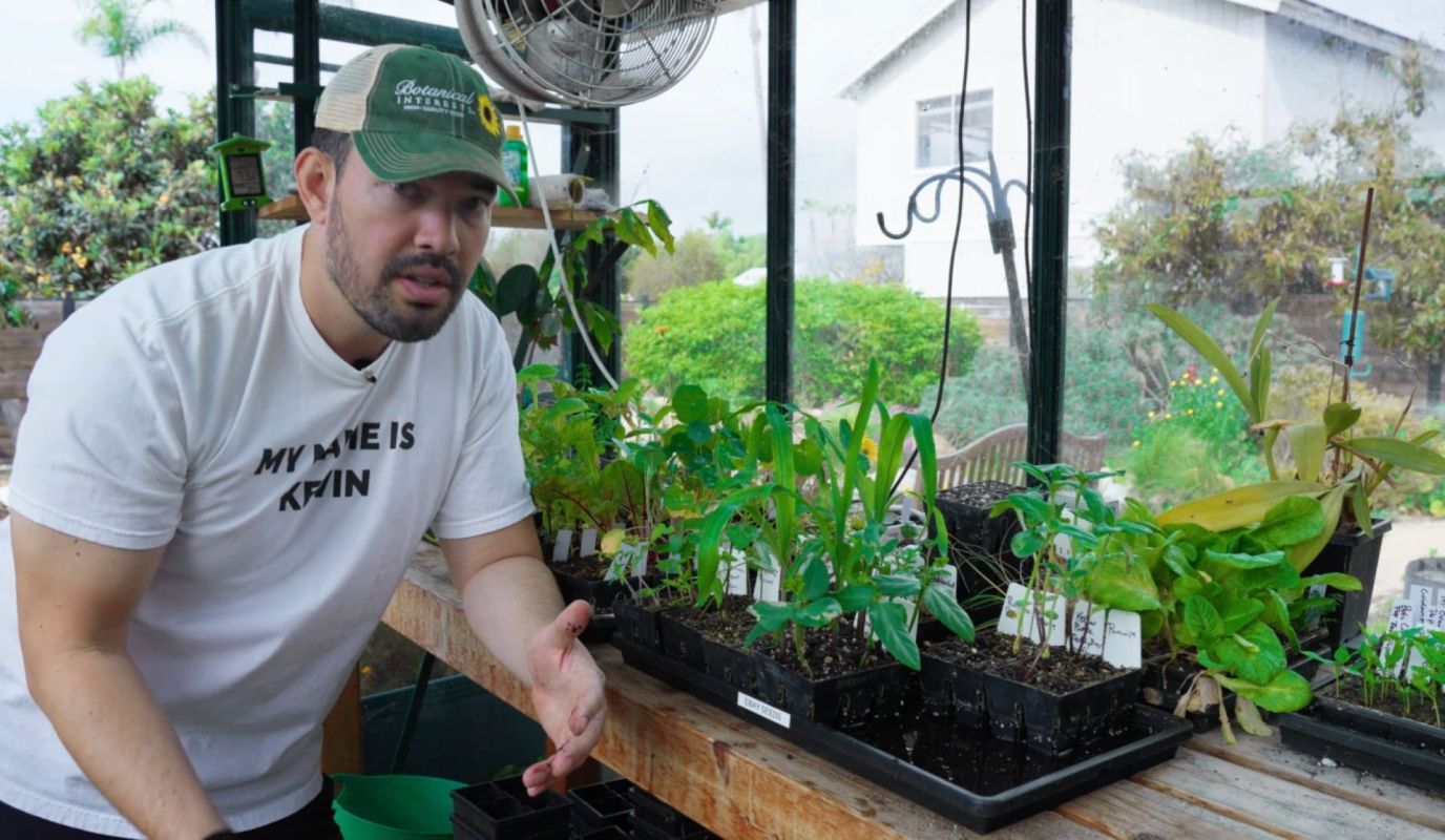 A person with plants.
