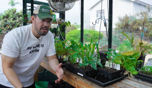 A person with plants.