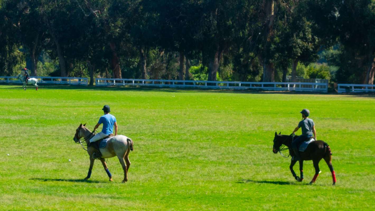 Two people on horseback ride across a grassy field under a tree-lined area.