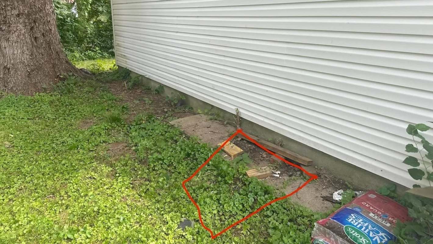 A patch of grass and weeds with wooden planks and debris near a house foundation, with an area outlined in red.