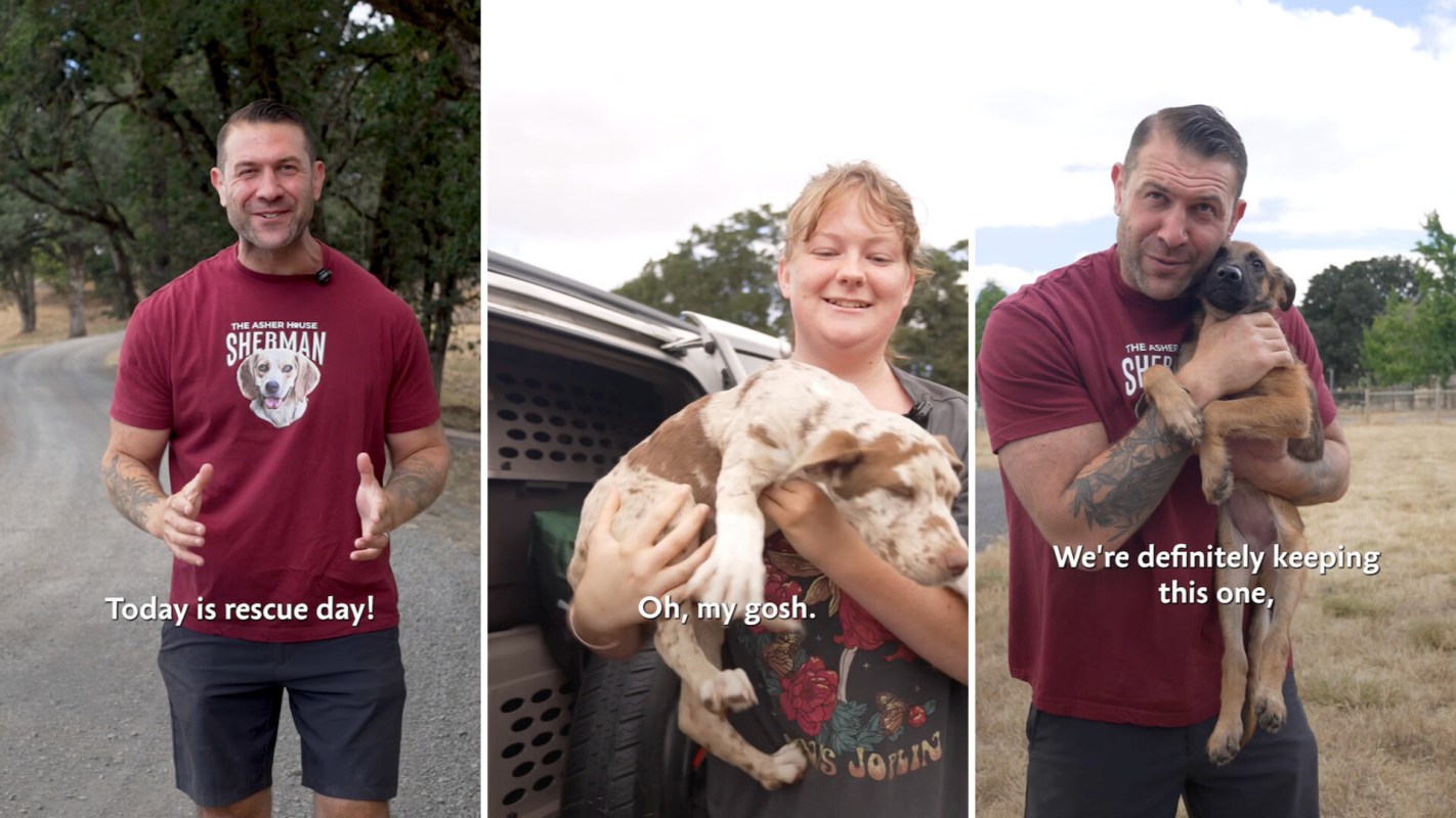Three panels showing a man discussing rescue day, a woman holding a puppy, and the man holding another puppy.