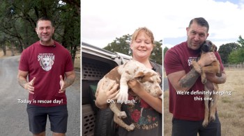 Three panels showing a man discussing rescue day, a woman holding a puppy, and the man holding another puppy.