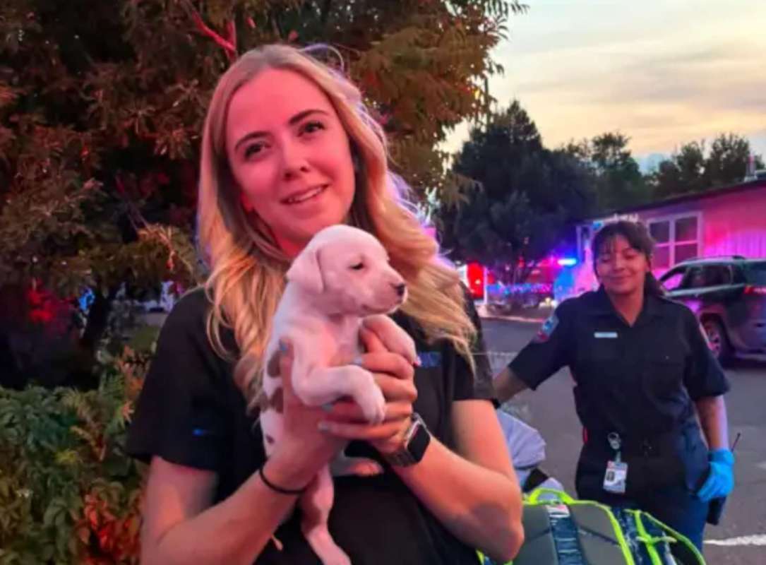 A woman holds a puppy while another woman in a uniform stands in the background near emergency vehicles.