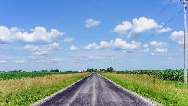 An asphalt road between two corn fields.