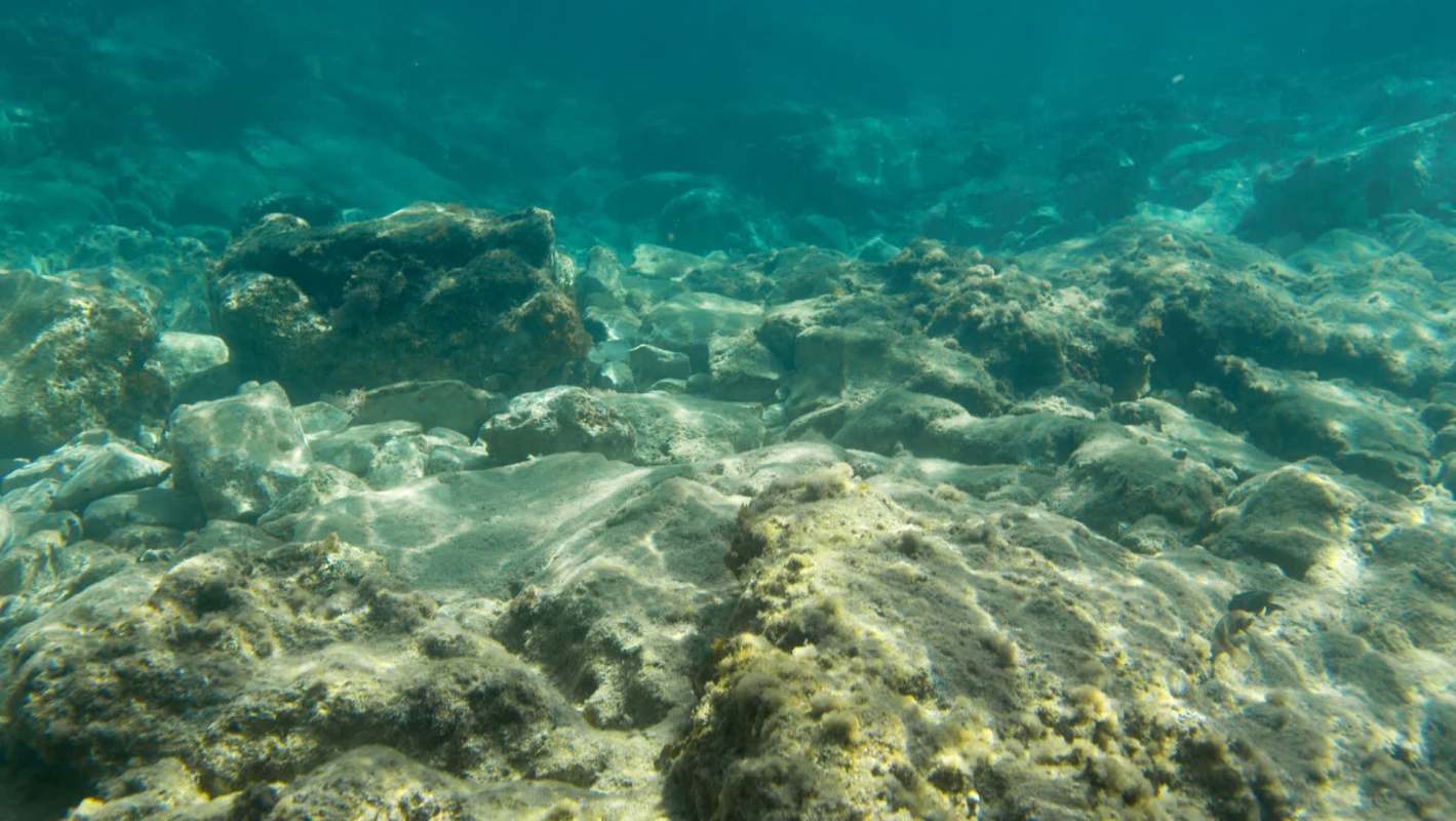 Underwater view of rocky seabed with patches of sand and marine life.